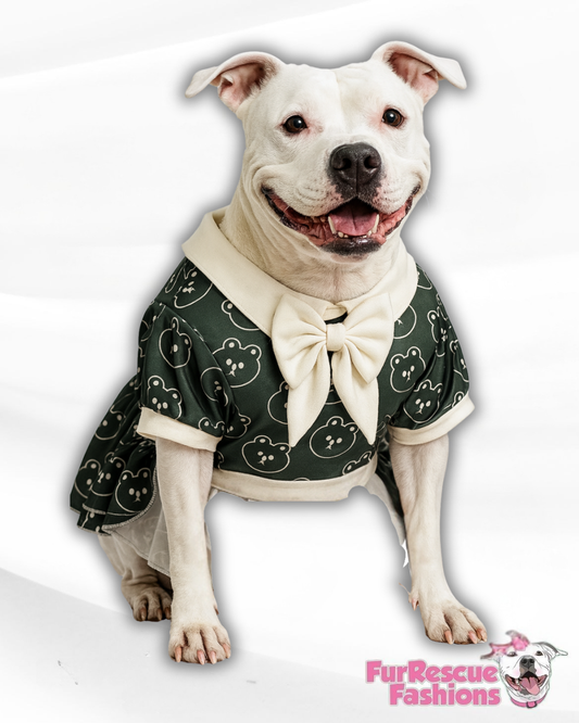 Beary Dapper Ruffle Dog Dress