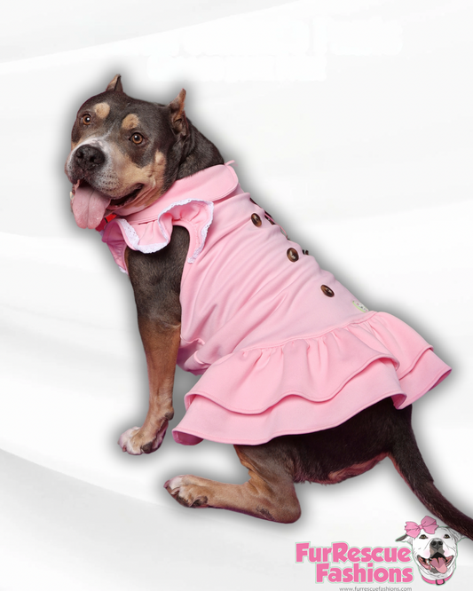 Classy But Naughty Pink Ruffle Dress