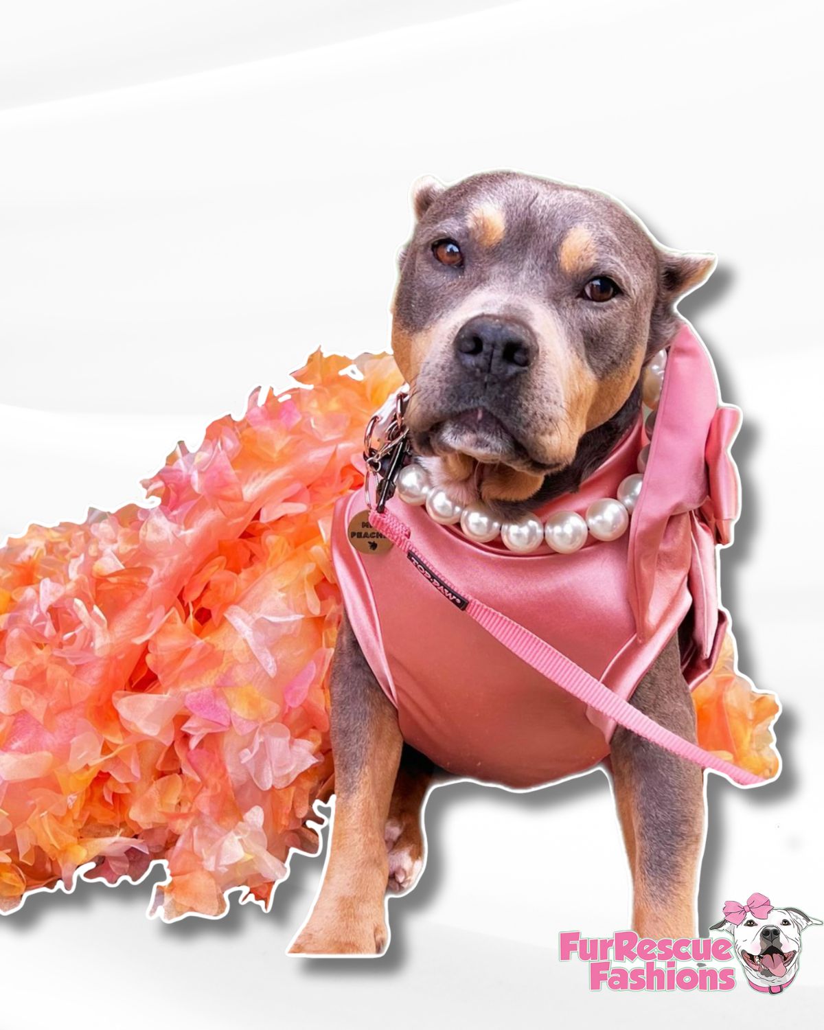 Fancy Tutu Dress | FurRescue Fashions Fancy Tutu Dress | FurRescue Fashions