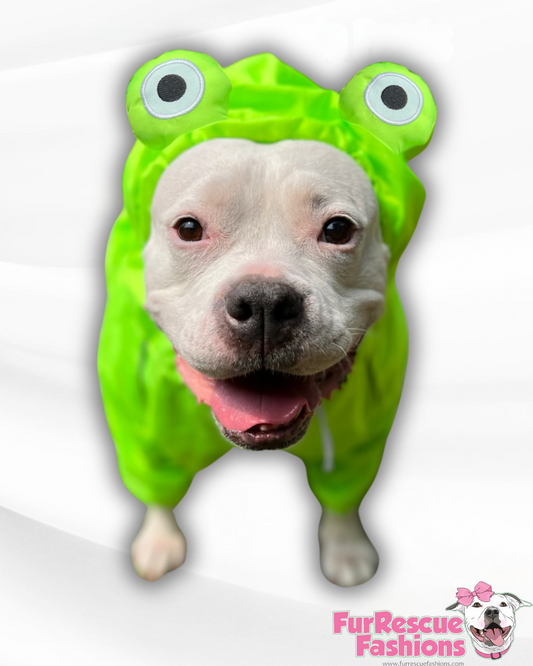 Froggy Rain Jacket - Cape - Vest