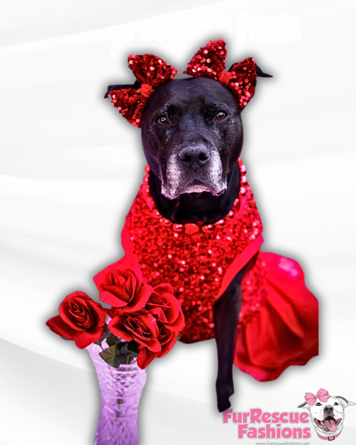 Fancy Tutu Dress