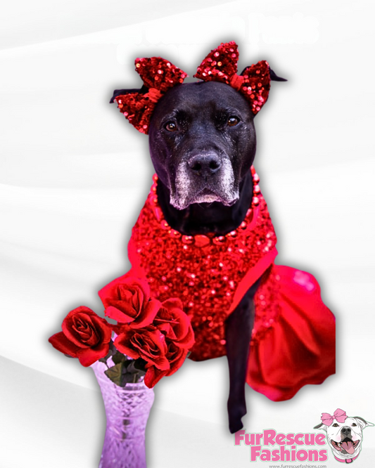 Sparkly Sequins Christmas Eve Dog Dress
