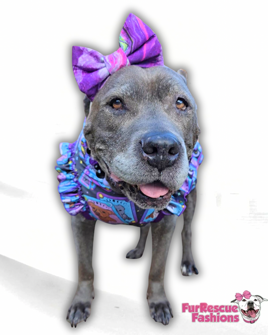 The Misjudged Oracle - Dog Pajama with Purple OR Aqua Neck & Trim/Sleeves
