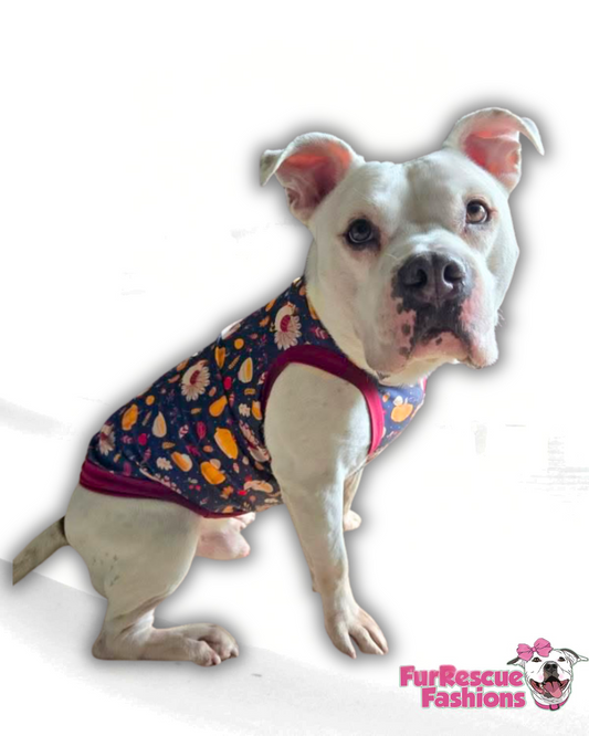 Turkey Strut - Dog Pajama with Burgundy Neck & Trim/Sleeves