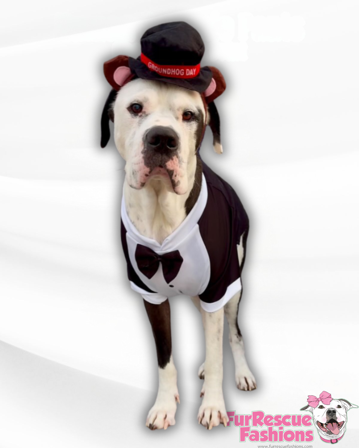Dog Tuxedo Shirt – FurRescue Fashions