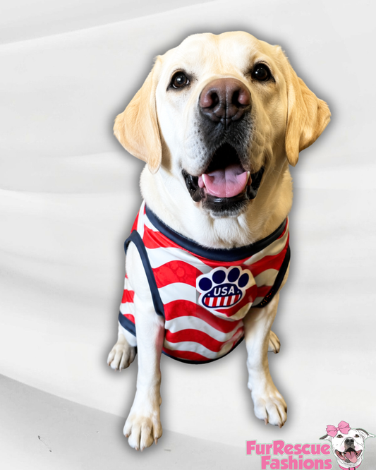USA Dog Jersey or Ruffle Dress – Soccer Cup 2026 | Custom Pet Soccer Shirt ⚽️🐾