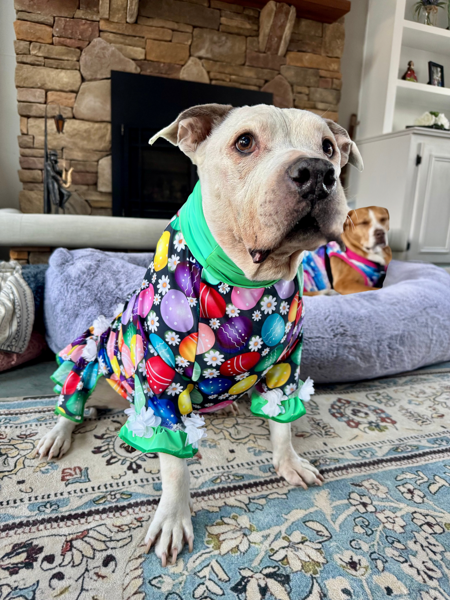 Youre A Good Egg - Dog Pajama with Mint Neck & Trim/Sleeves
