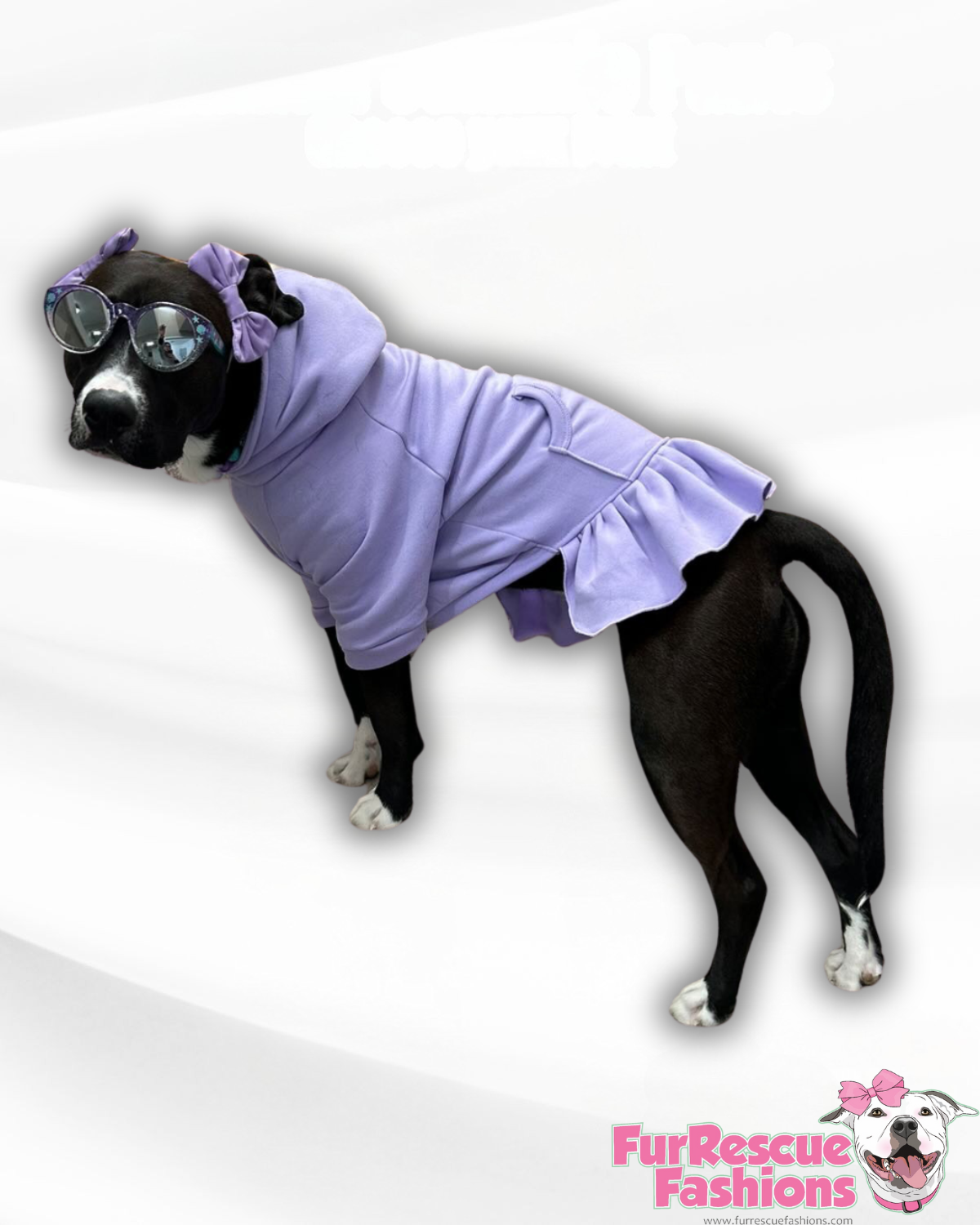 Casual & Pawfect Hoodie Dress