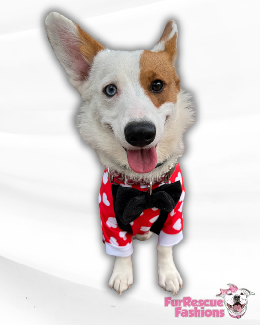 My Fur-Ever Valentine Dog Shirt With Suspenders & Detachable Bow tie (Available in any pattern)