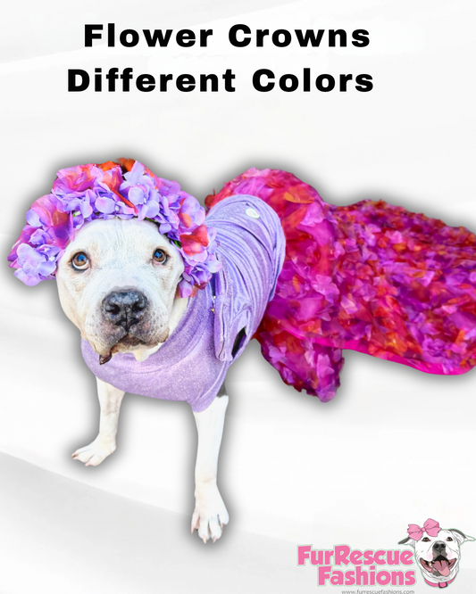 Flower Headband (for dogs & humans)