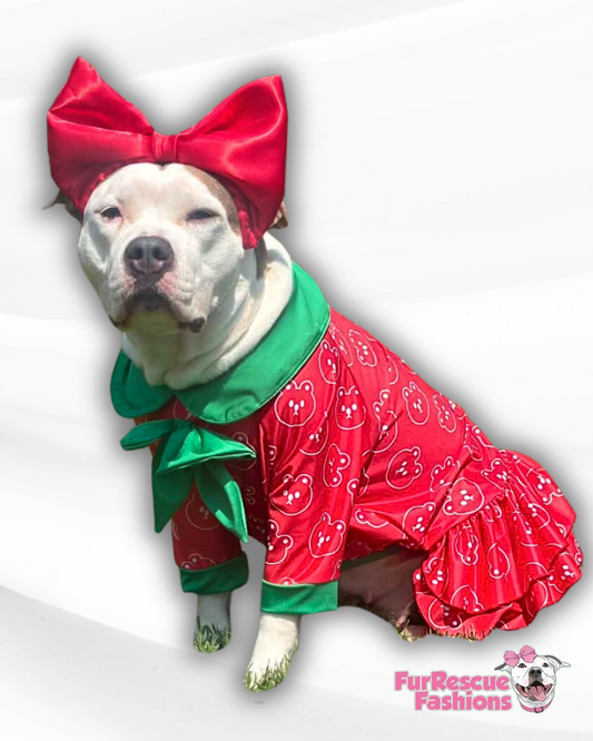 Beary Merry Ruffle Dog Dress