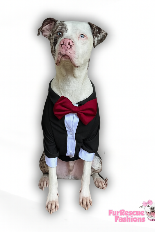 Nativity Dog Tuxedo