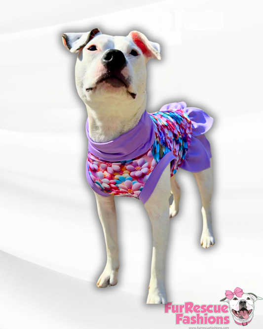 Flower in Bloom Petal Skirted Ruffle Dress