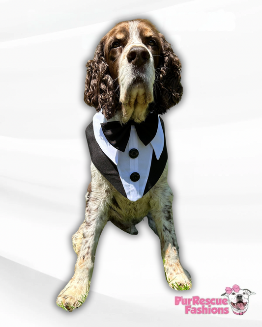 Dog Tuxedo Bandana