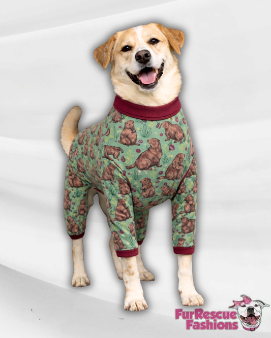 Mardi Paws Mash-Up 4 Legged PAWjamas with Turtle Neck (Available in any pattern)