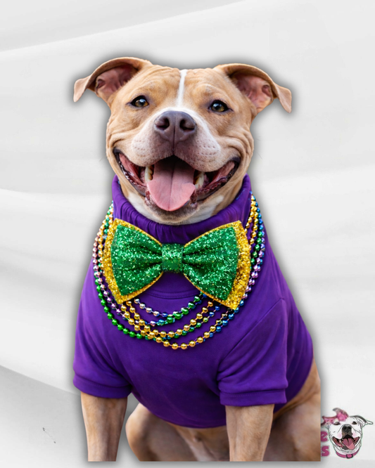 King of the Krewe Bow Tee