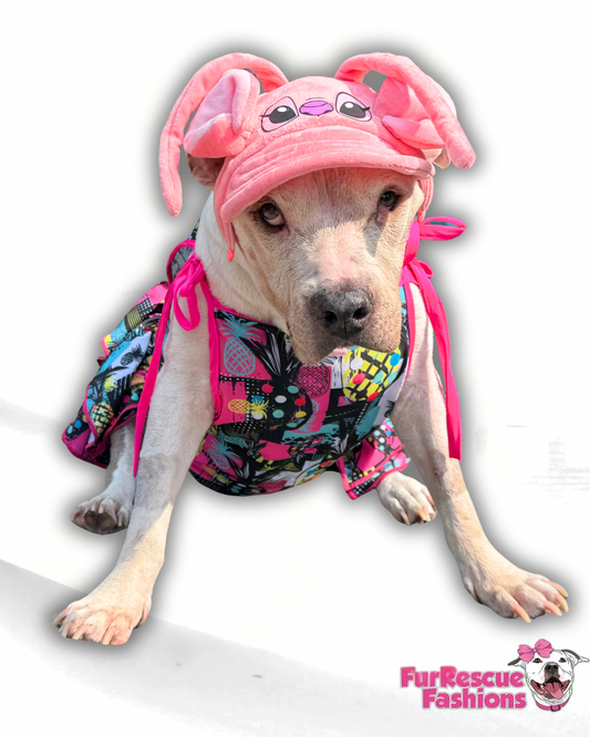 Angel Stitch-Mutt Dog Hat