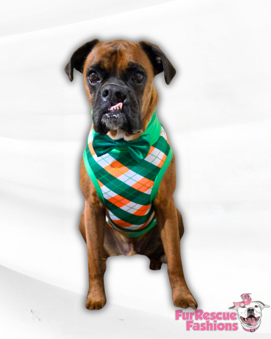 St. Paddy’s Argyle - Dog Pajama with Green Neck & Trim/Sleeves