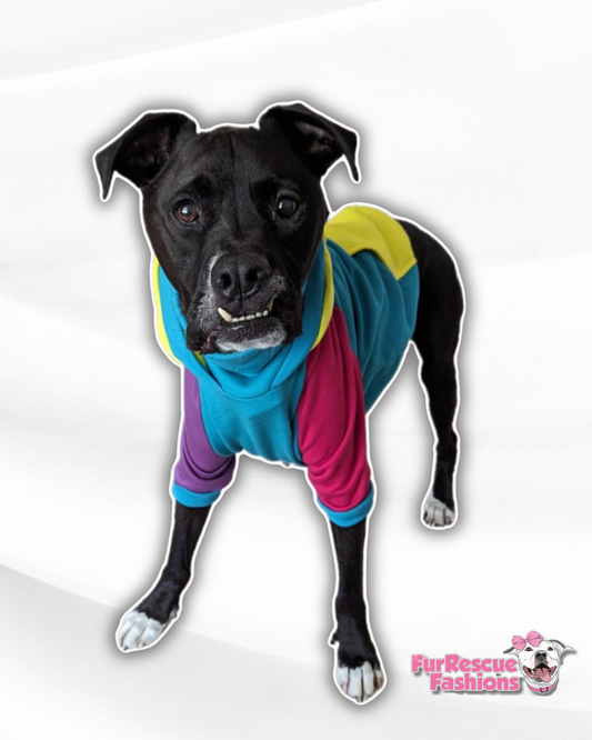 Bright Horizons Color Block Dog Hoodie