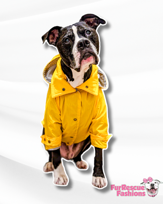 The Georgie Reversible Yellow & Stripes Rain Jacket - Cape - Vest by