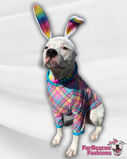 Easter Plaid Dog Pajama with Aqua Neck & Trim/Sleeves
