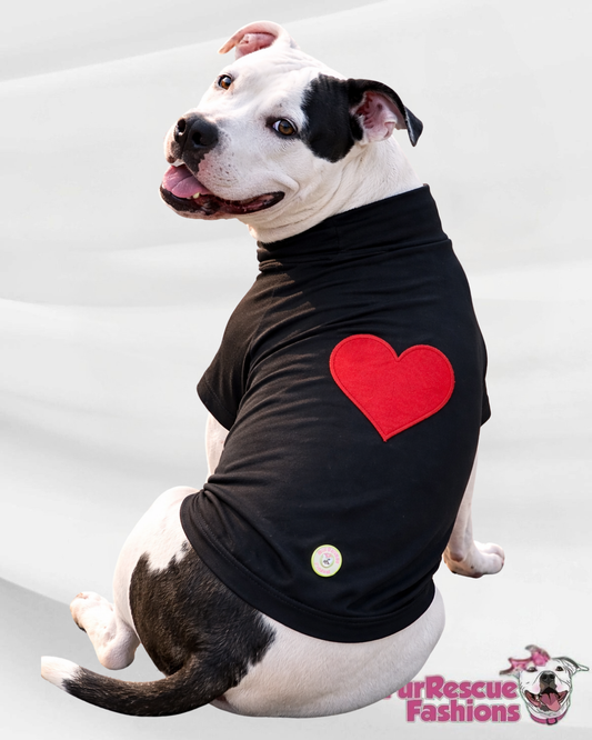 Sweet Love Dog Shirt With Bow tie & Heart
