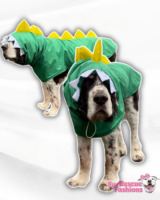 Dinosaur Rain Jacket - Cape - Vest 🦖