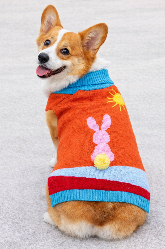 Sunny Bunny Hop Knit Dog Sweater Vest
