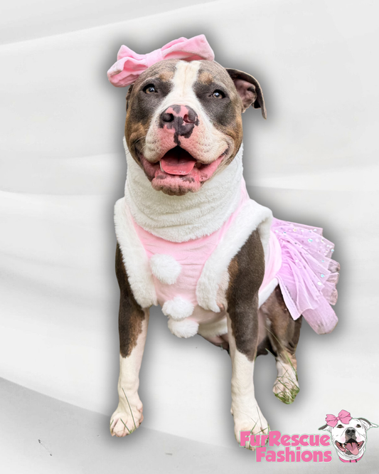 Blush Santa Belle Dog Dress