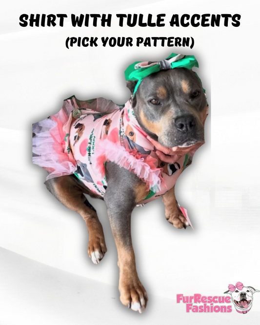 6th Anniversary Dog Shirt With Tulle Accent (Available in any pattern)