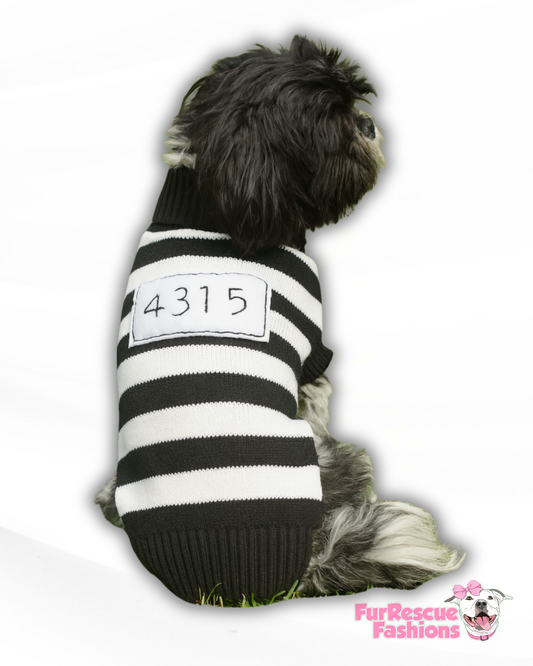 Inmate 4-Paw Knit Dog Vest