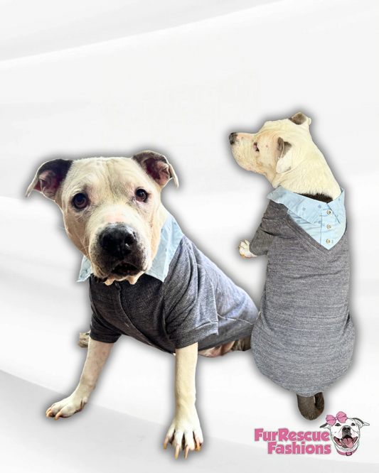 Proper Collared Layered Dog Sweater With Buttons