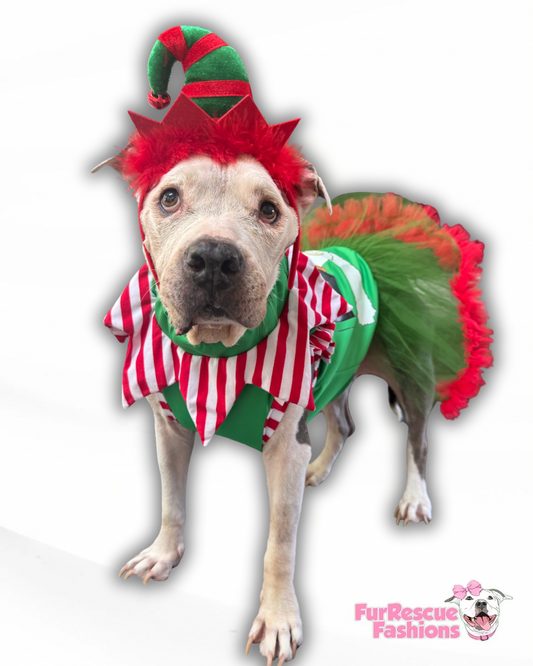 Elf Squad Dog Dress