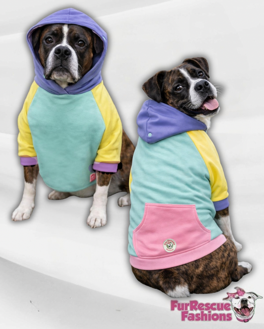 Spring Color Block Dog Hoodie