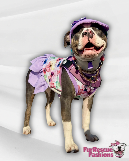 2026 Spring Dog Dress With Petal Skirt (Available in any pattern) (Copy)