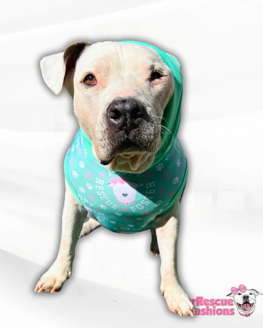 Rescue Foster Adopt Mint - PAWjama with Pink/Black/Mint Trim, Neck & Sleeves