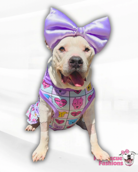 FRF - Adopt & Rescue - Dog Pajama with Lavender OR Aqua Neck & Trim/Sleeves