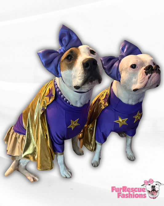 SuPAW Hero Dog Ruffle Dress With Detachable Cape (Choose Your Colors)