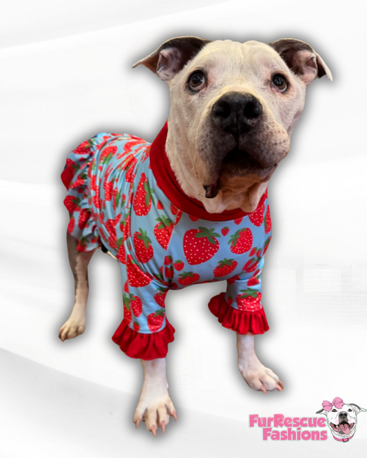 Berry Sweet Dog Dress With Ruffle / With Sleeves or Sleeveless