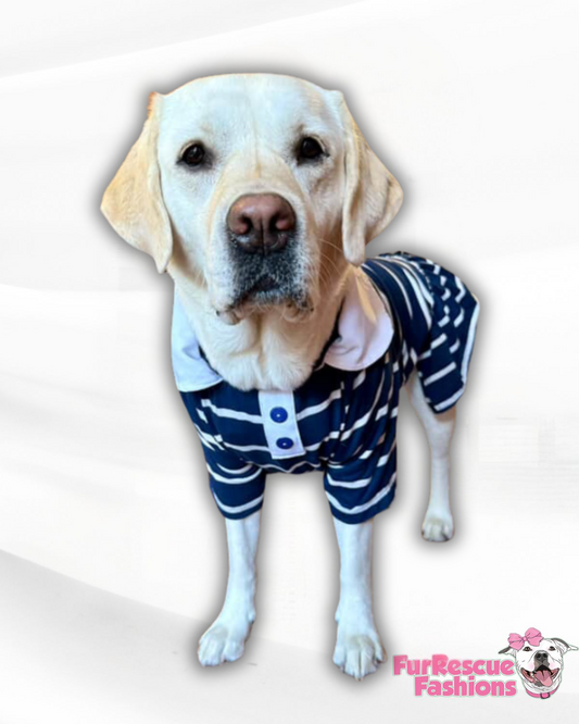 Preppy Striped Dog Dress