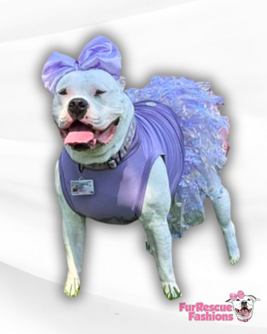 Lavender Magic Dog Dress