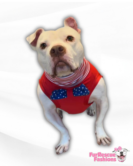 Americana Dog Shirt with Bow tie