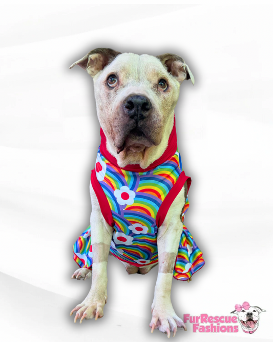 Rainbows of Love Dog Pajama with Red Trim