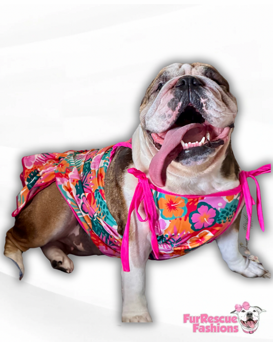 Summer Strapped Dog Dress With Ruffle
