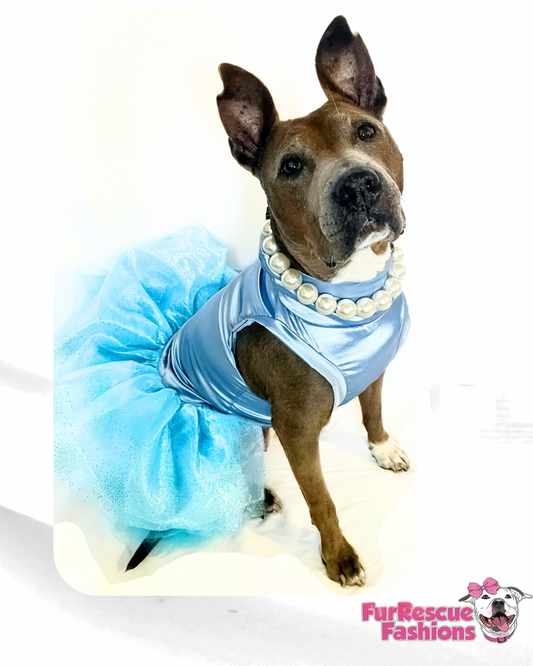Dusty Blue Tutu Dress