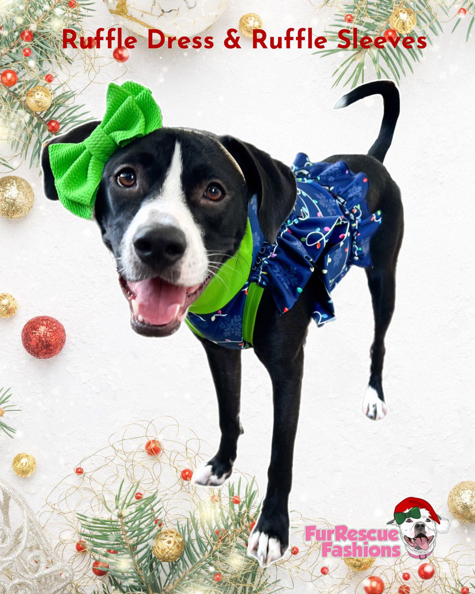 Big Dog Christmas Dress with UV Protection FurRescueFashions FurRescue Fashions