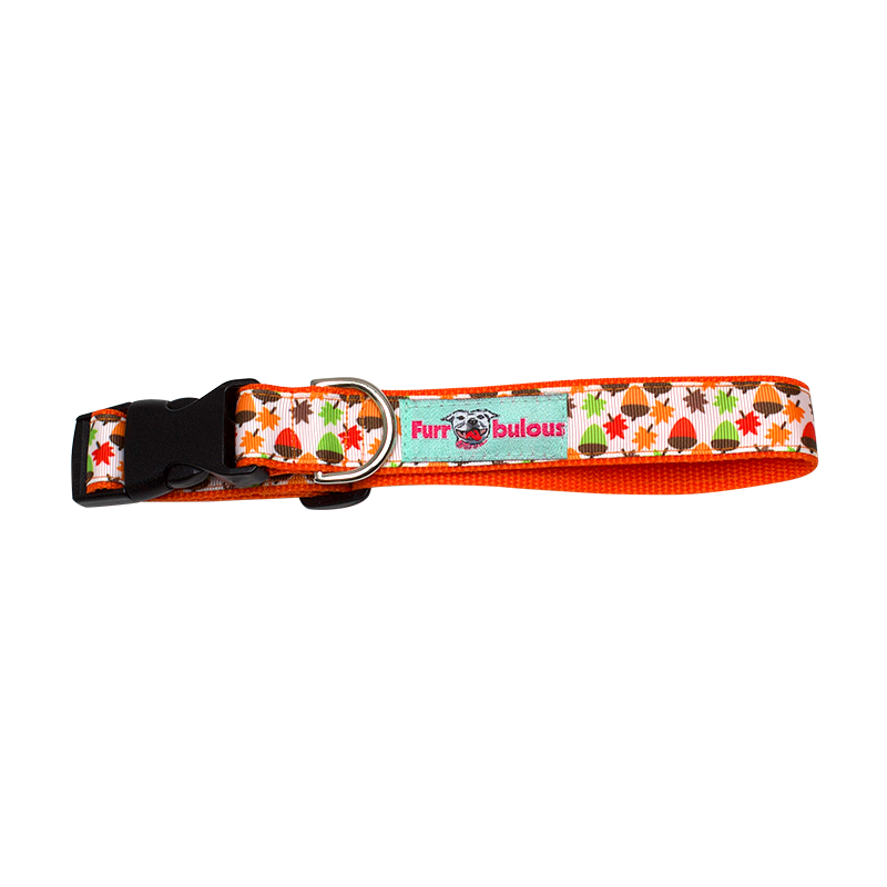 Fall - Autumn Dog Collars - 1"
