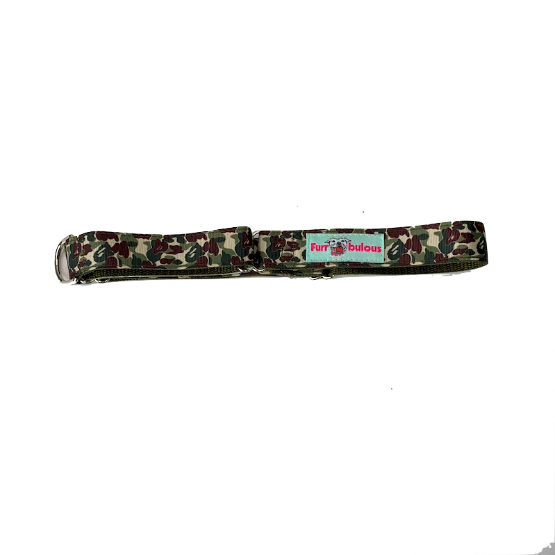 Martingale 1" Dog Collar