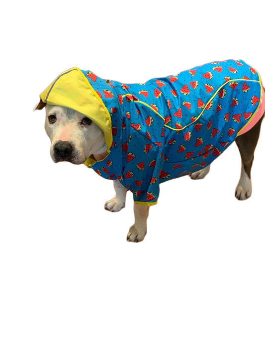 Watermelon Crush Reversible Raincoat
