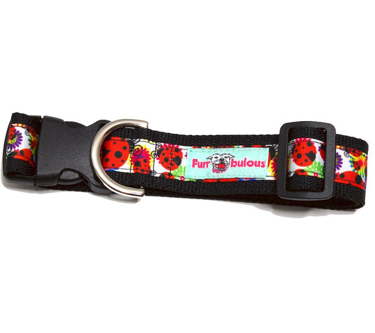 Lady Bug Dog Collars - 1.5"